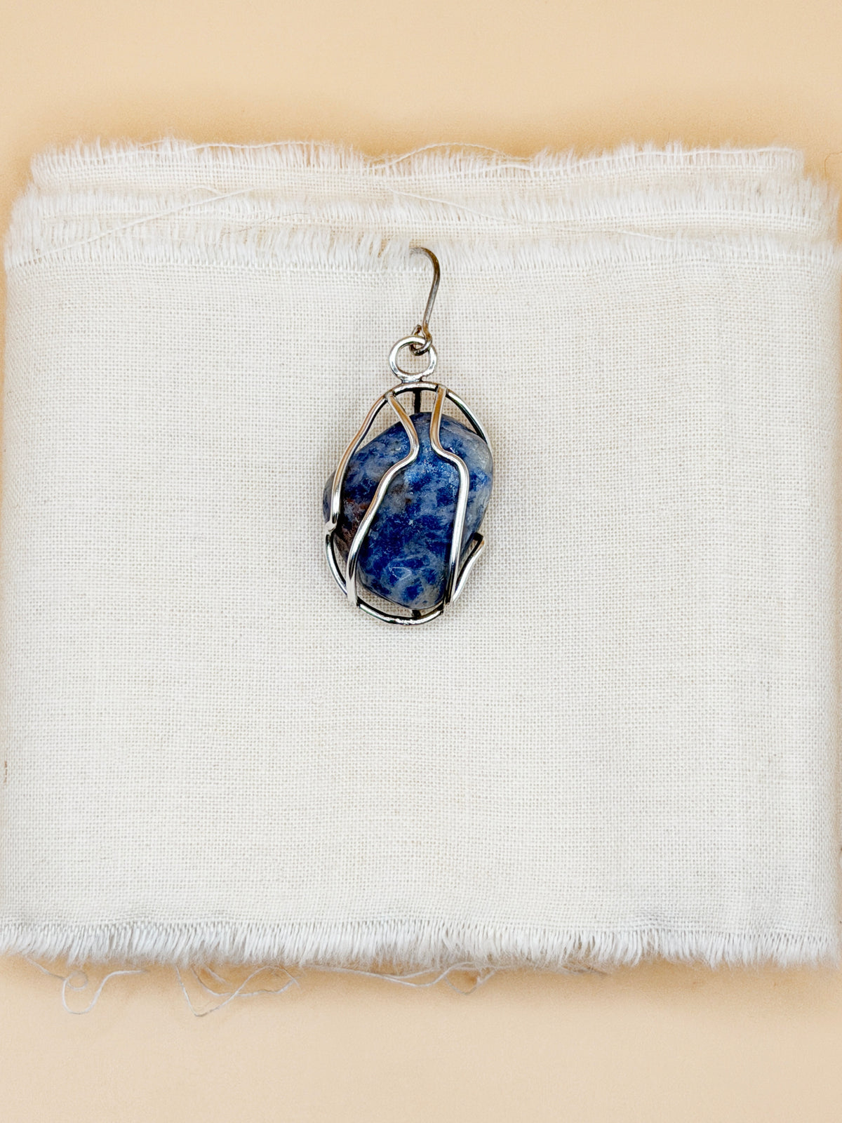 Cage Earrings