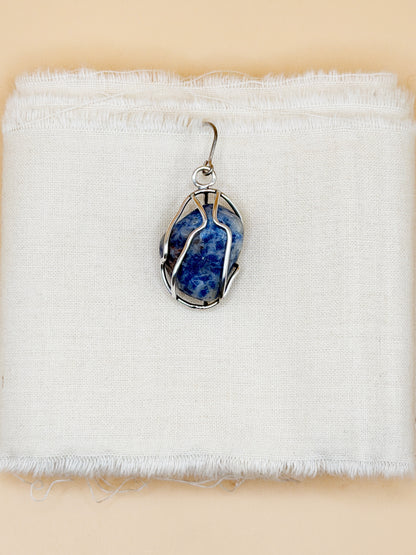 Cage Earrings