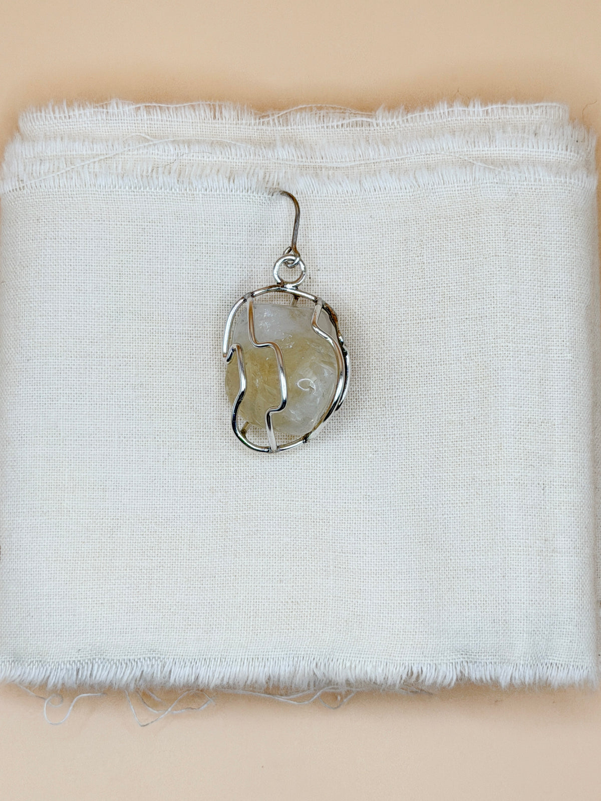 Cage Earrings