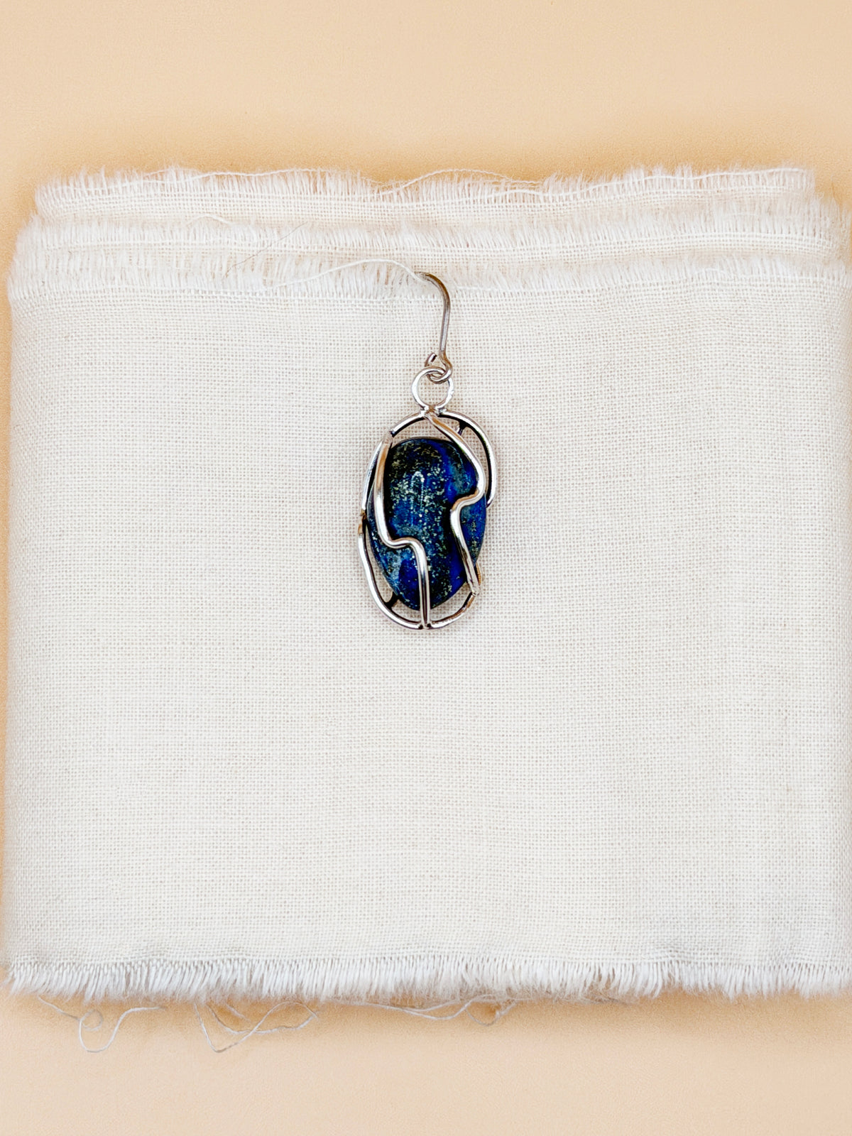 Cage Earrings